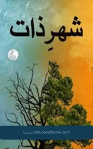 Shehr-e-Zaat novel by Umera Ahmed