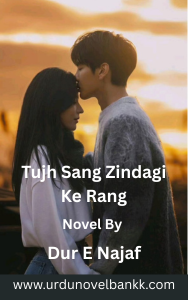 Tujh Sang Zindagi Ke Rang Novel By Dur E Najaf