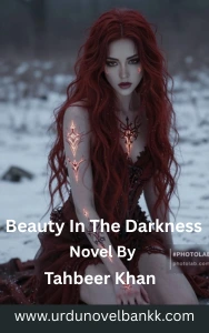 Beauty In The Darkness Novel By Tahbeer Khan