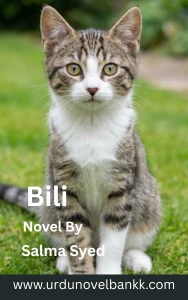 Bili Novel By Salma Syed