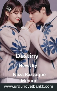 Destiny Novel By Faiza Razzaque Memon